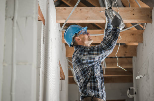 Best Electrical System Inspection  in El Cenizo, TX
